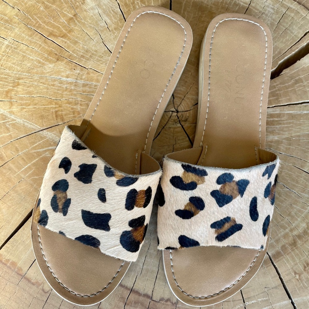 Coconuts by Matisse ‘Tiki’ slide